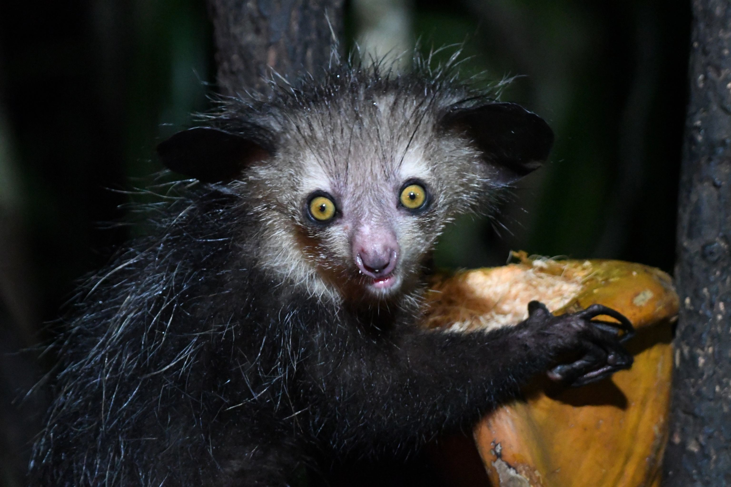 image-d5c5b0ec73ec706efad70b80bac686d5807a5b0e-5568x3712-jpg