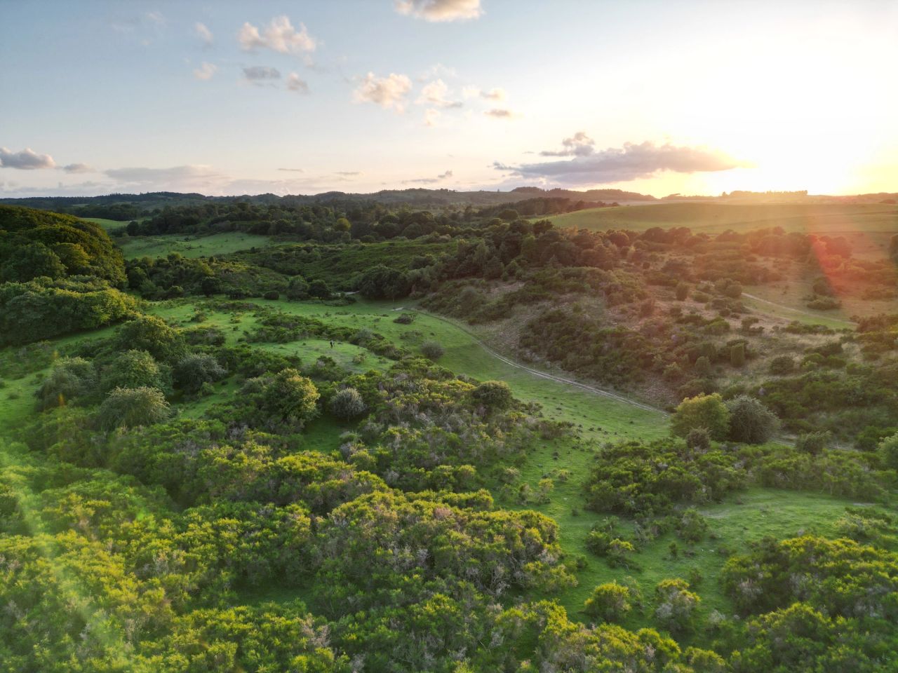 image-e581f049aadbfe5ad28dddef51fab134e1b9ea20-4032x3024-jpg