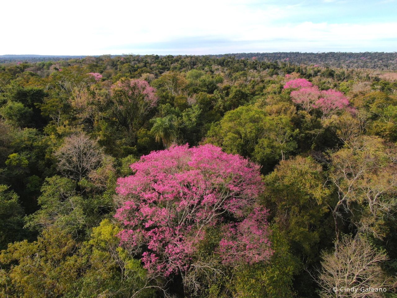 image-ef4f93bdc5d47f59e7d9523346b411e5b08427a0-4000x3000-jpg