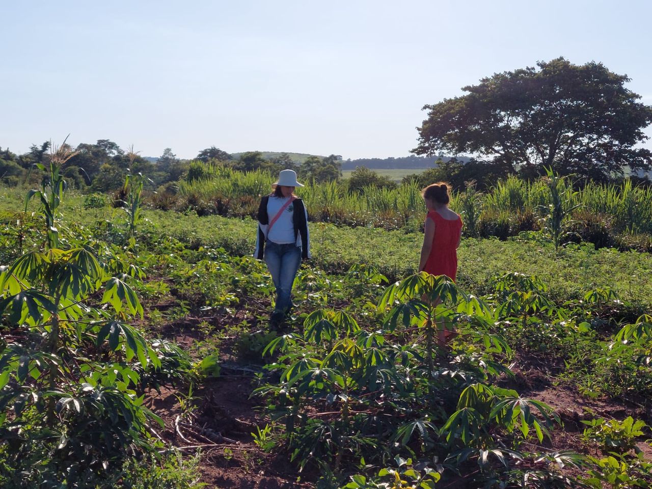 image-f7c3fce053658afd7755697cab70c4773764c240-1600x1200-jpg