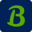 icon of Bonsai Image