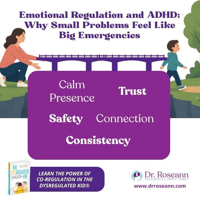 Co-Regulation graphic for The Dysregulated Kid®