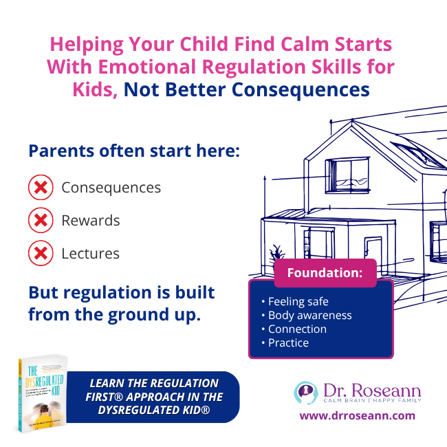 The Dysregulated Kid graphic about emotional regulation skills