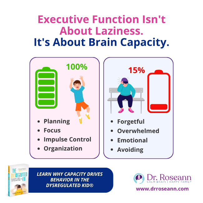 The Dysregulated Kid graphic about executive function and brain capacity