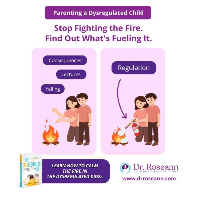 The Dysregulated Kid® book graphic about calm the fire.