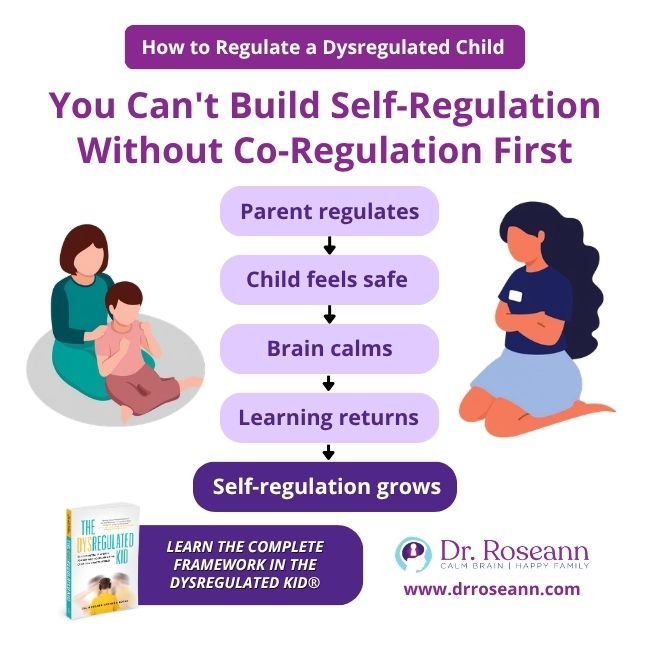 The Dysregulated Kid® graphic: co regulation first.