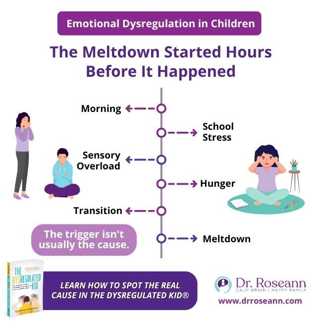 The Dysregulated Kid® graphic: meltdown timeline.