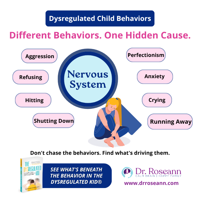 The Dysregulated Kid graphic showing nervous-system behaviors and regulation support.