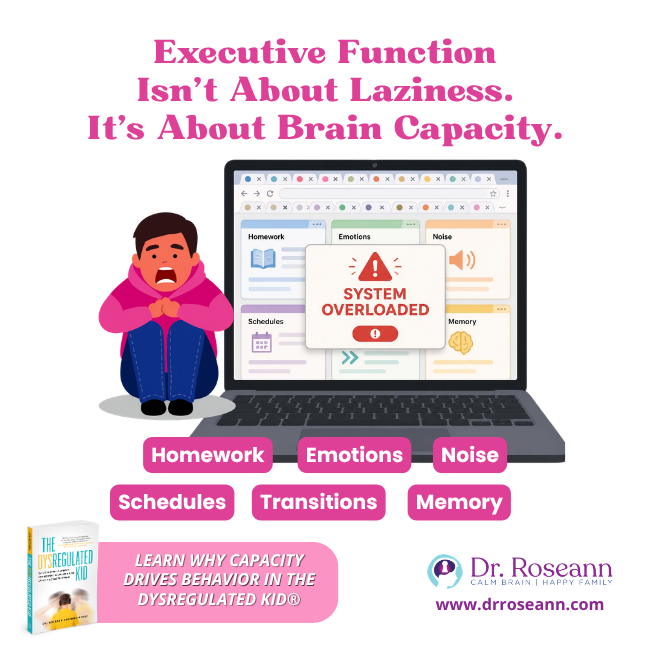 The Dysregulated Kid executive function and brain capacity graphic