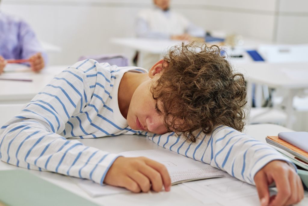 Dysregulation vs Other Behavioral Issues: Understanding & Supporting Your Child’s Brain-Based Challenges