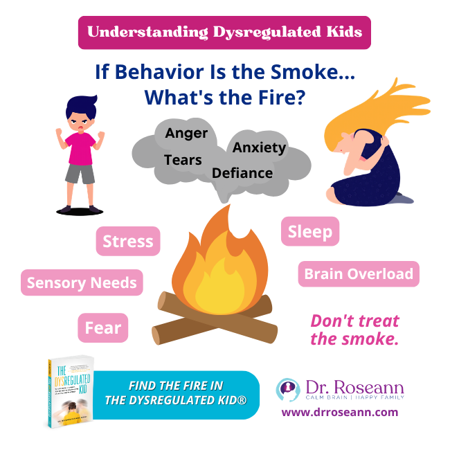 The Dysregulated Kid behavior smoke and fire graphic