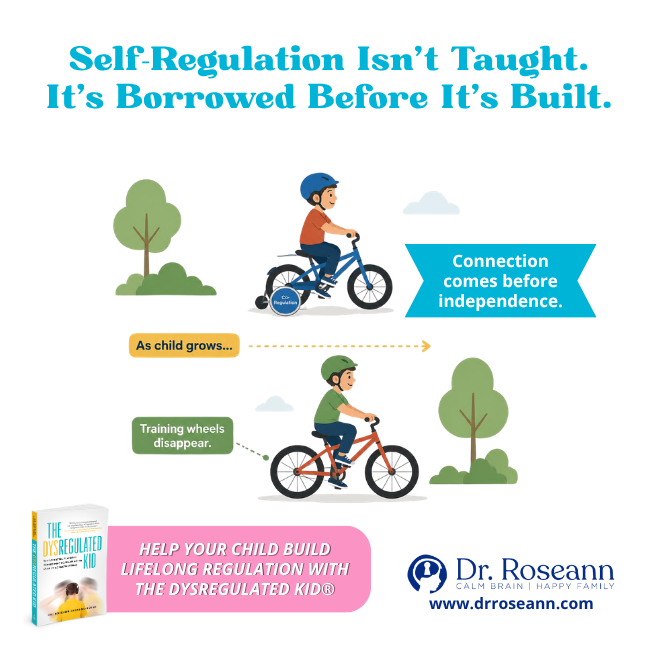 The Dysregulated Kid graphic showing a child learning self-regulation through co-regulation, like training wheels.
