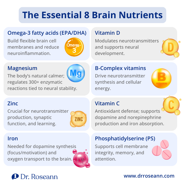 A visual guide to the essential nutrients for brain health, including Omega-3, Vitamin D, Magnesium, B-Complex vitamins, Zinc, Vitamin C, Iron, and Phosphatidylserine.