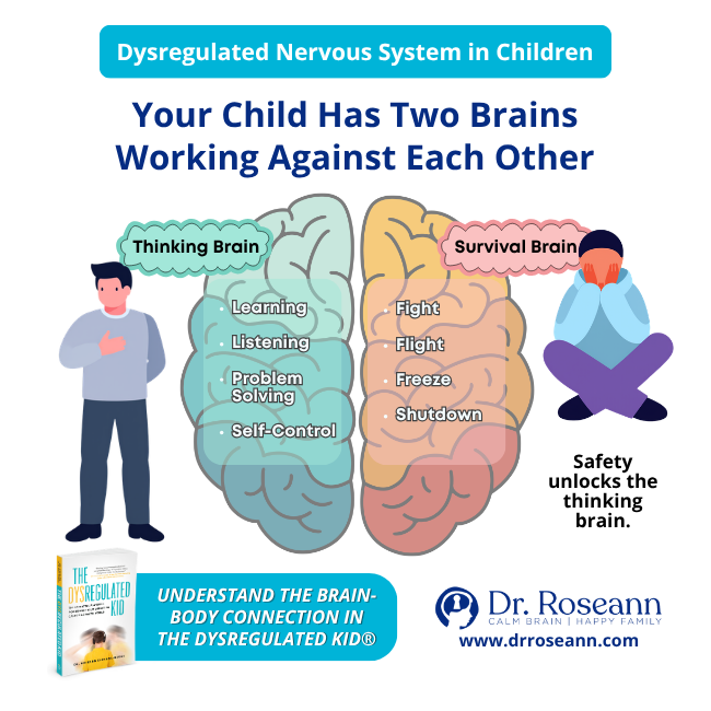 Graphic comparing a child’s thinking brain for learning, listening, problem solving and self-control with a survival brain for fight, flight, freeze and shutdown.