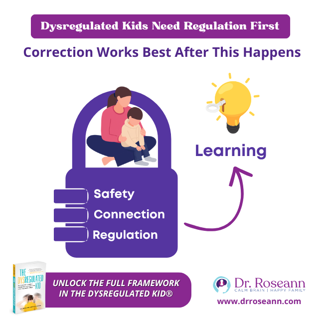 Graphic showing safety, connection, regulation, and learning in a lock-and-key diagram.