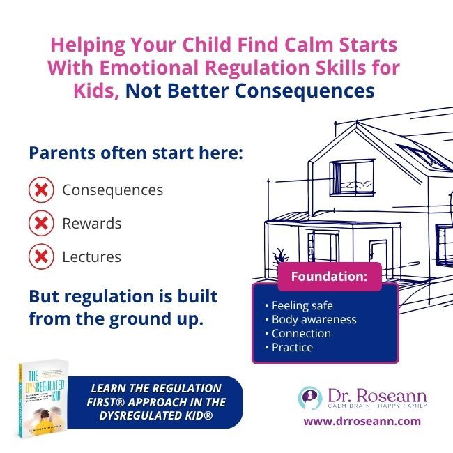 The Dysregulated Kid® graphic: emotional regulation foundation.