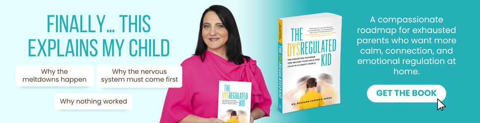 The Dysregulated Kid book banner