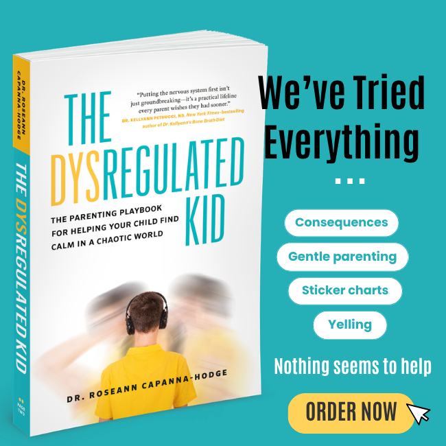 The Dysregulated Kid book for a dysregulated child when parents have tried everything for meltdowns and hard moments