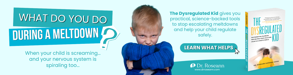 The Dysregulated Kid book banner with an upset child, the question What do you do during a meltdown?, and a Learn What Helps call to action