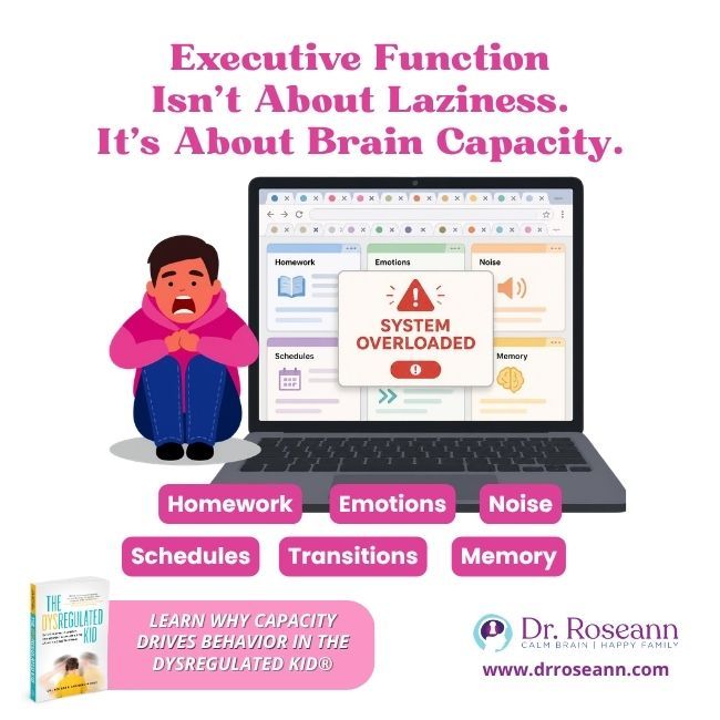 The Dysregulated Kid® graphic: executive function brain capacity.