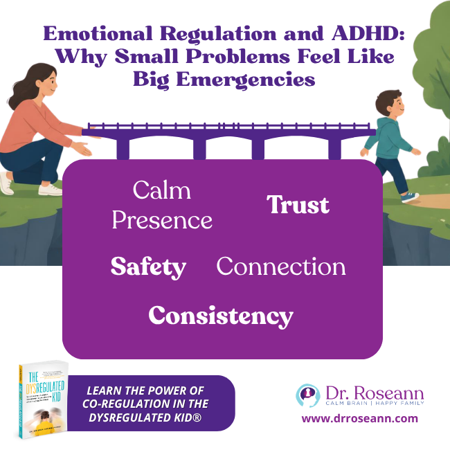 The Dysregulated Kid® book graphic: co-regulation-bridge-elements.