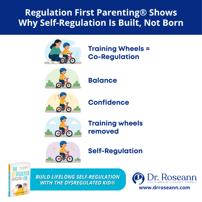 Regulation First Parenting graphic showing self-regulation developing through co-regulation, balance, and confidence.