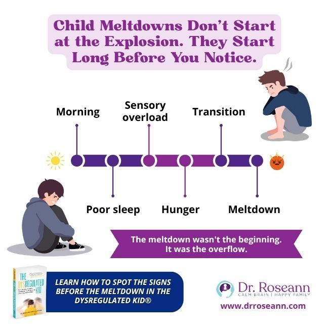 The Dysregulated Kid® graphic: meltdown triggers.