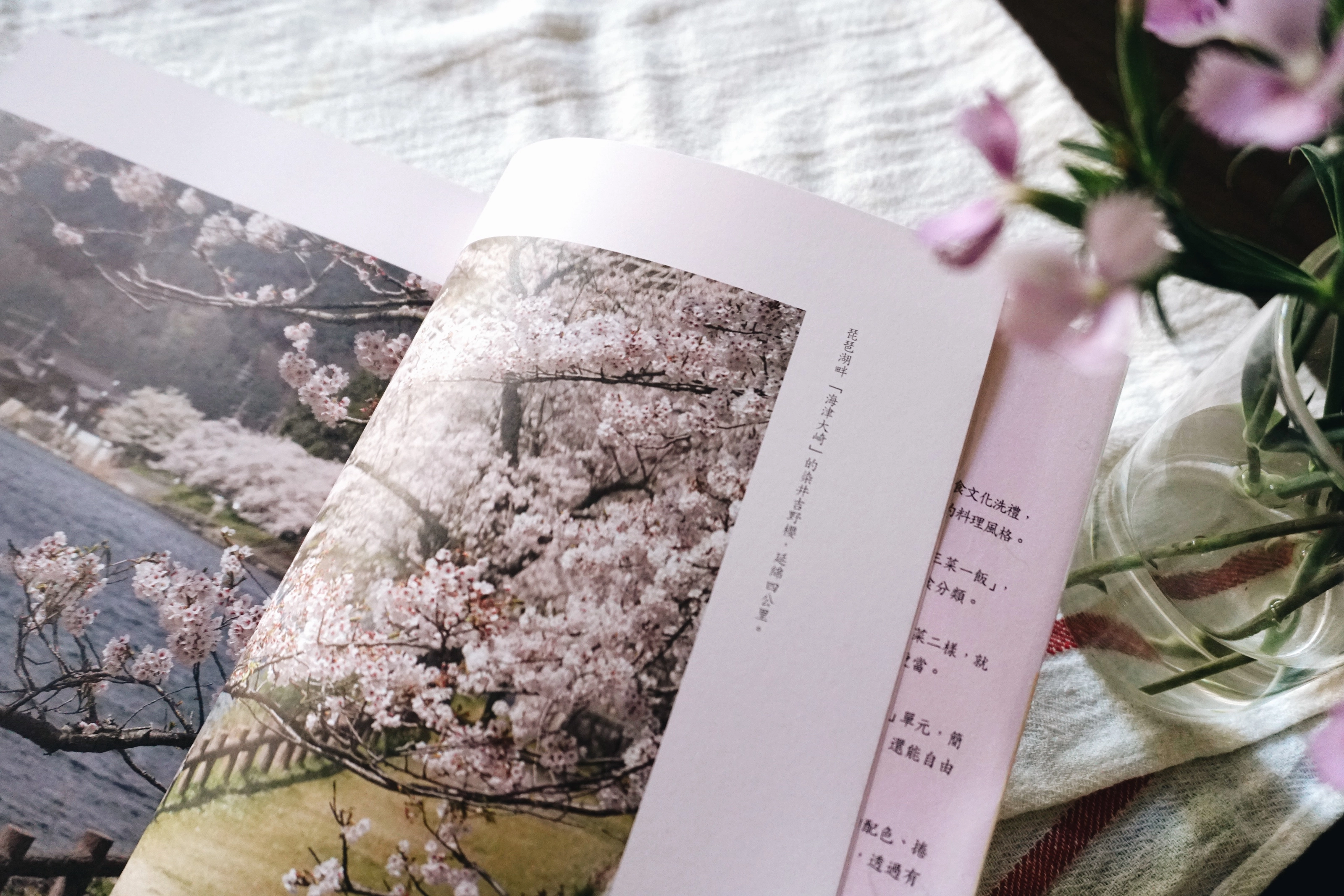 《 想吃。梅村月：三菜一飯台日式便當 》書籍裝幀設計