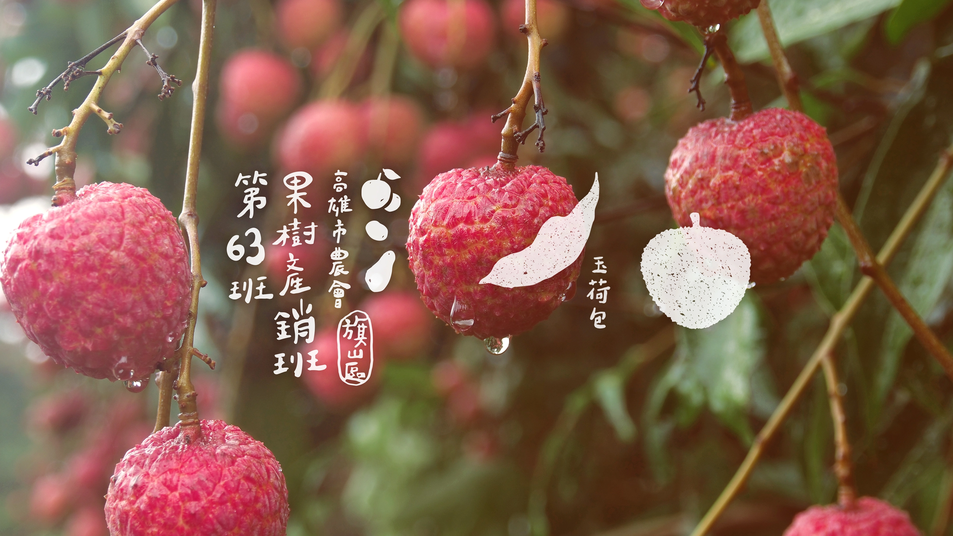 高雄市旗山區果樹產銷班第63班－品牌形象重塑