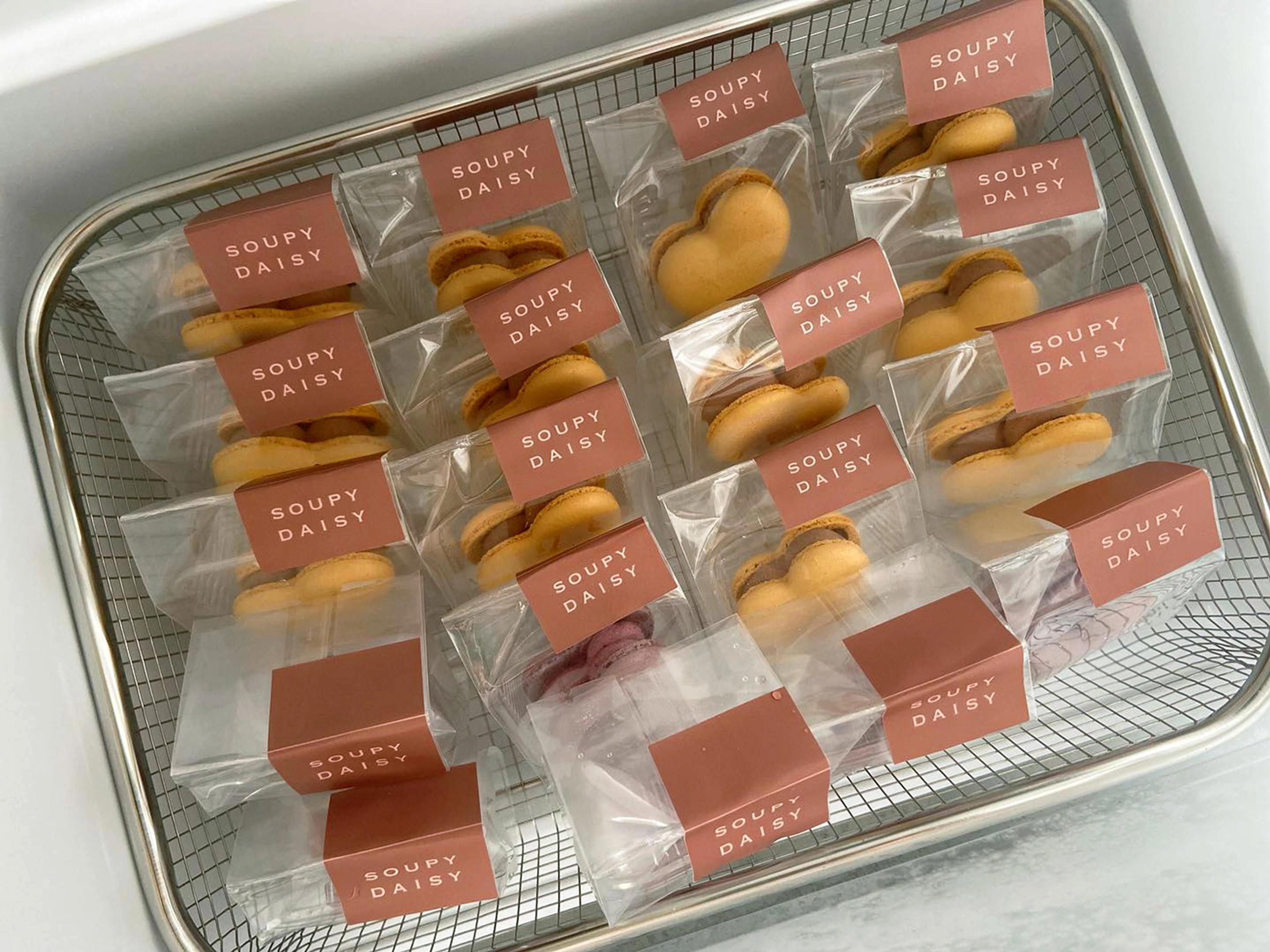 Soupy Daisy 蘇比黛西－視覺識別＆相關包裝