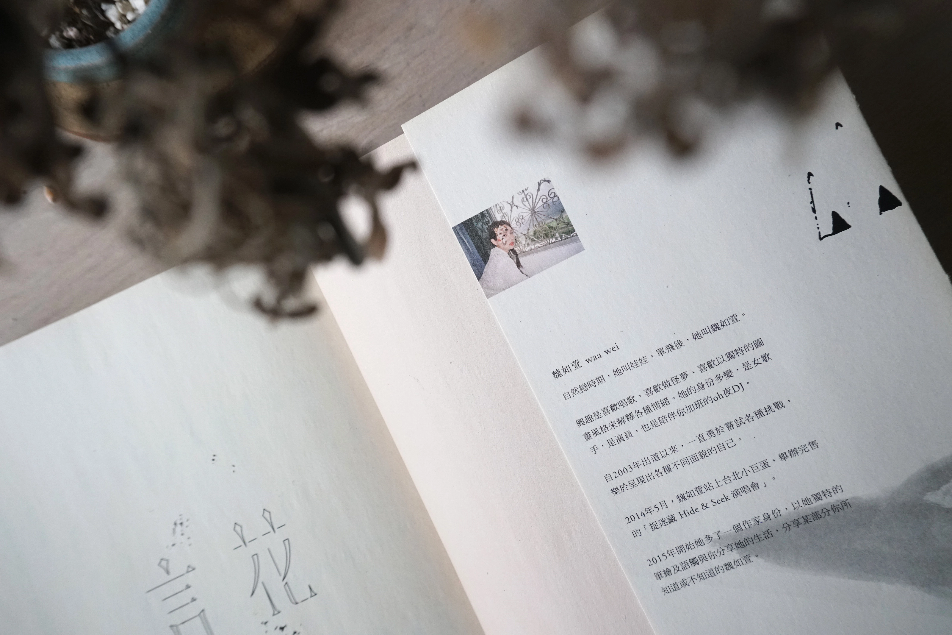 魏如萱《言花》－攝影&造型&標準字設計