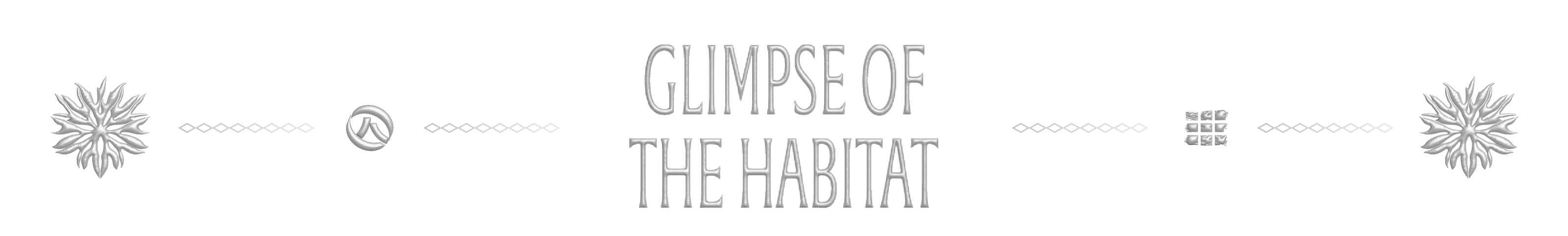 土然Ｘ林業署 { 棲地時光 Glimpse of Habitat }