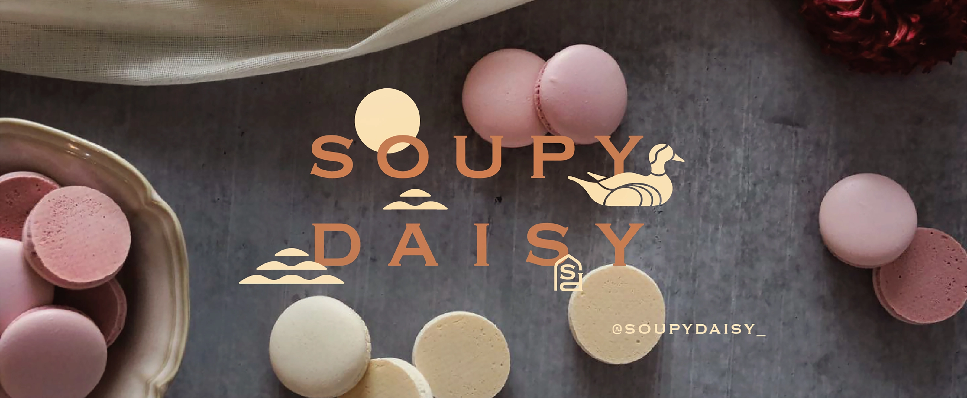 Soupy Daisy 蘇比黛西－視覺識別＆相關包裝