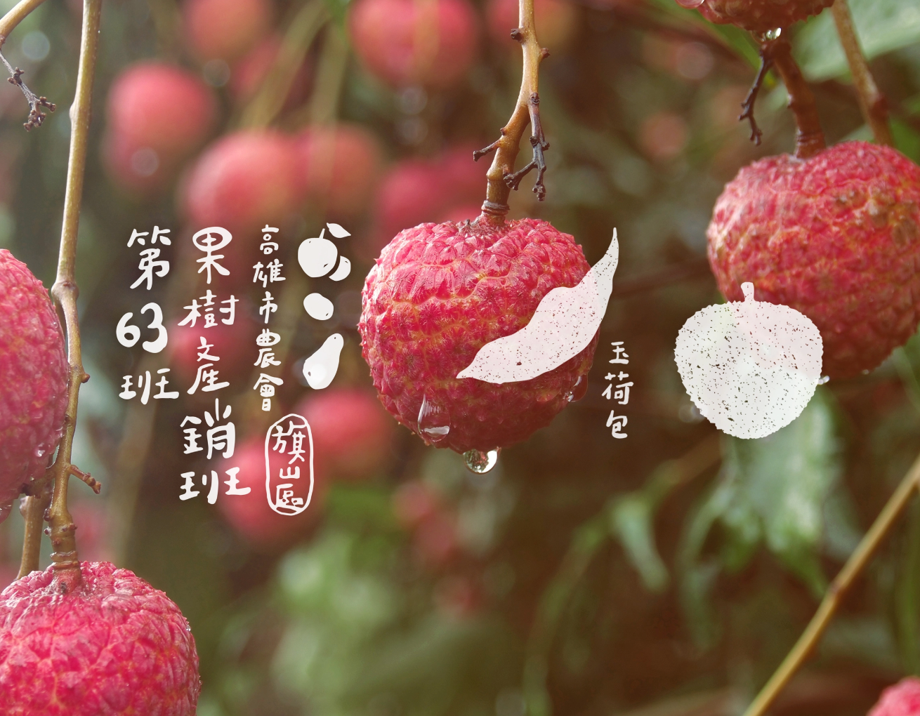 高雄市旗山區果樹產銷班第63班－品牌形象重塑