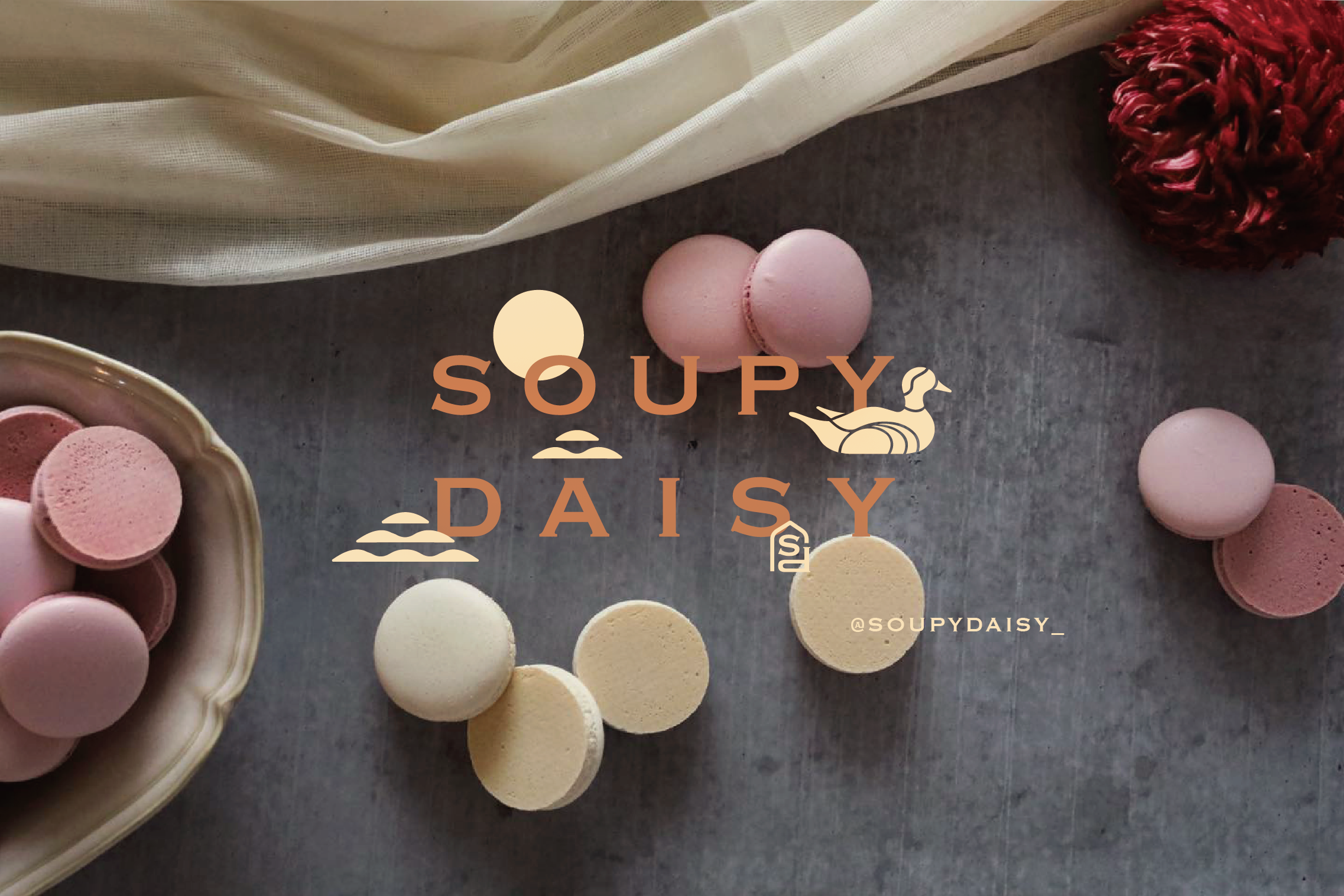 Soupy Daisy 蘇比黛西－視覺識別＆相關包裝