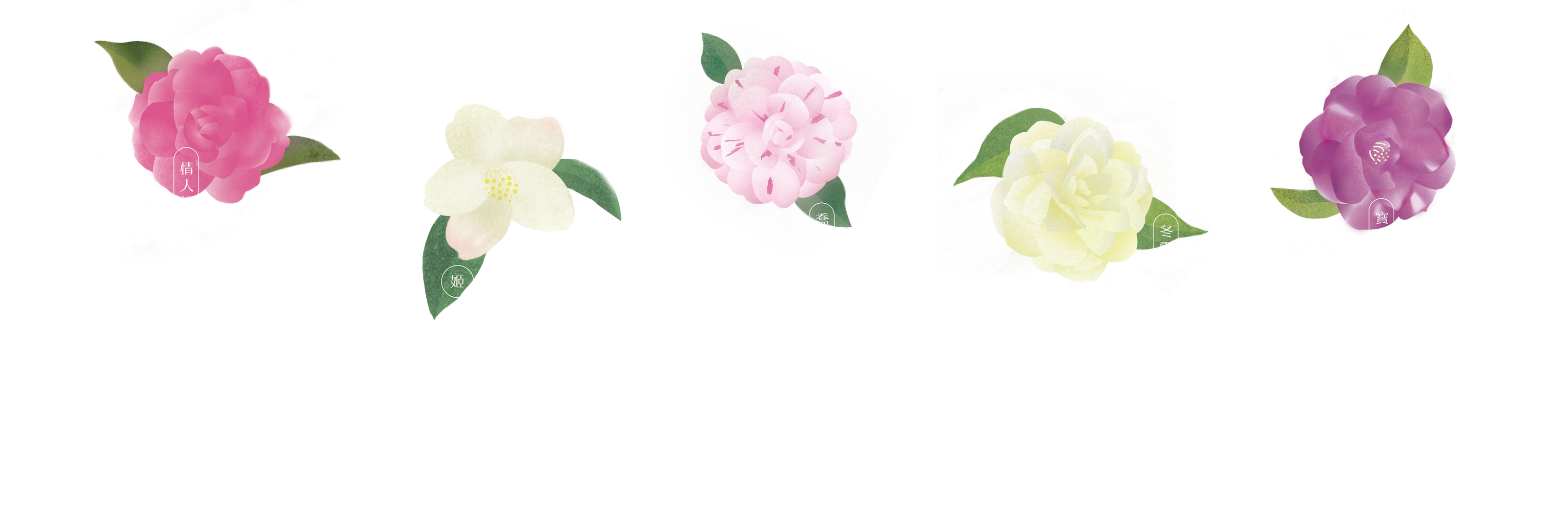 東麗茶花咖啡Donli Camellia Cafe－視覺識別＆包裝設計