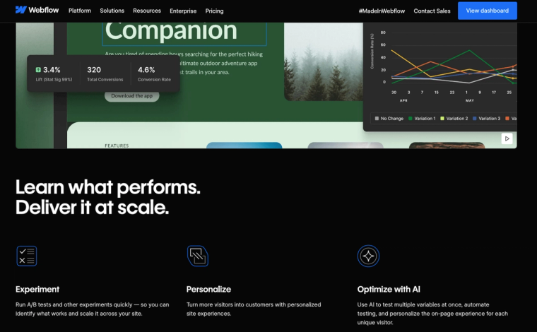 Aperçu Webflow Optimize