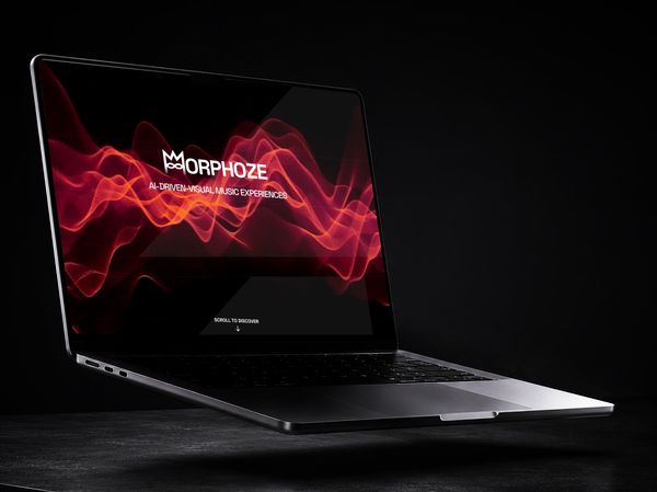 Aperçu du projet Morphoze