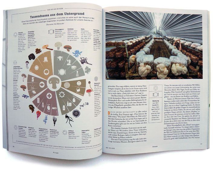 geo-pilze - Thumbnail