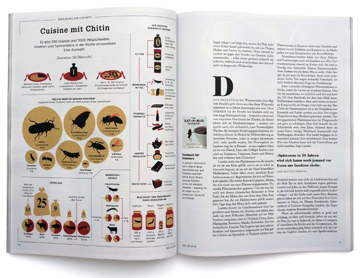 geo-insekten - Thumbnail