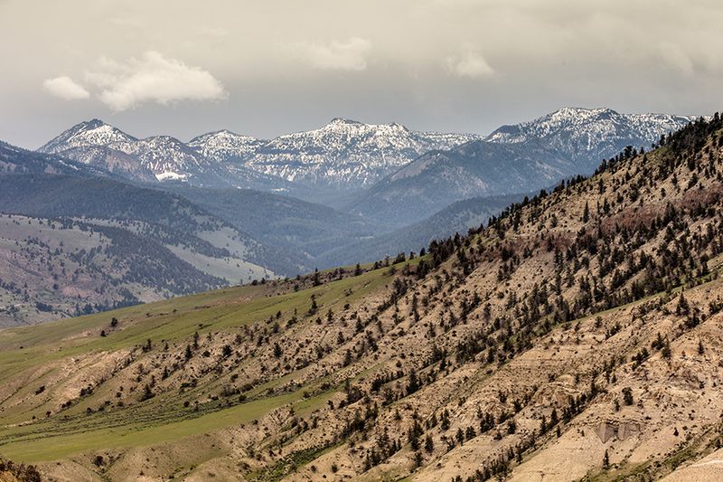 Yellowstone National Park — photo 6