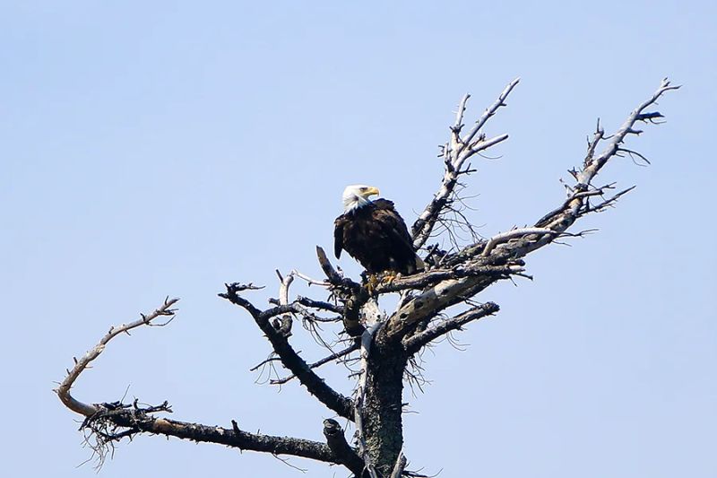 Voyageurs National Park — photo 8