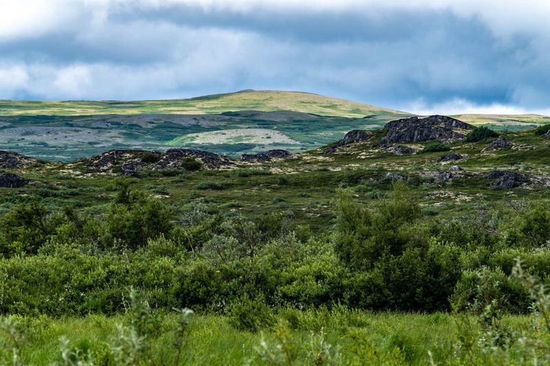 Katmai National Park Alaska — photo 7