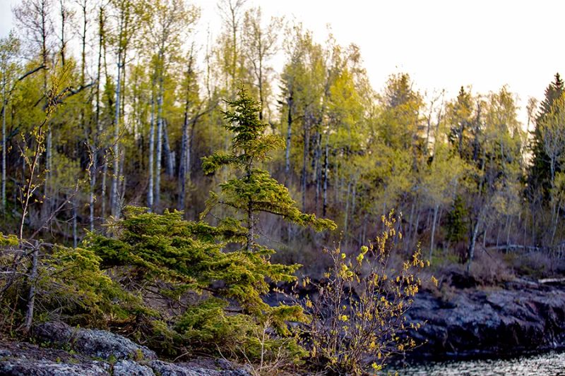 Surfside on Lake Superior — photo 2