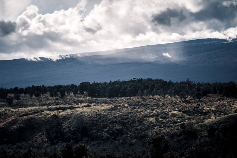 Hawaii Volcanoes National Park — photo 8