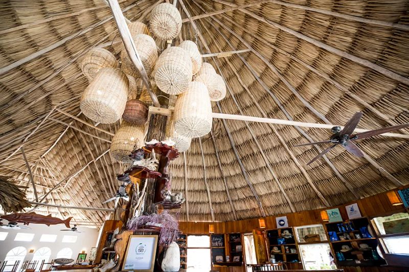 Thatch Caye Resort Belize — photo 8