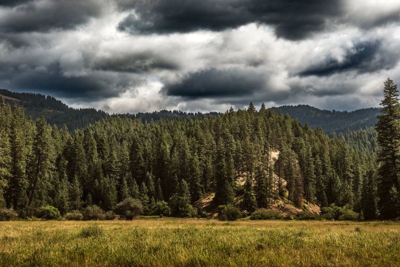 Red Horse Mountain Ranch — photo 5