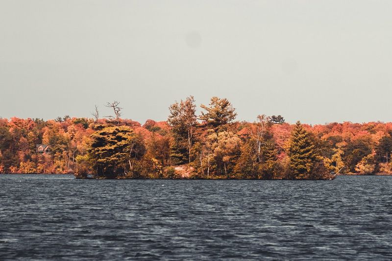 Stout’s Island Lodge — photo 4
