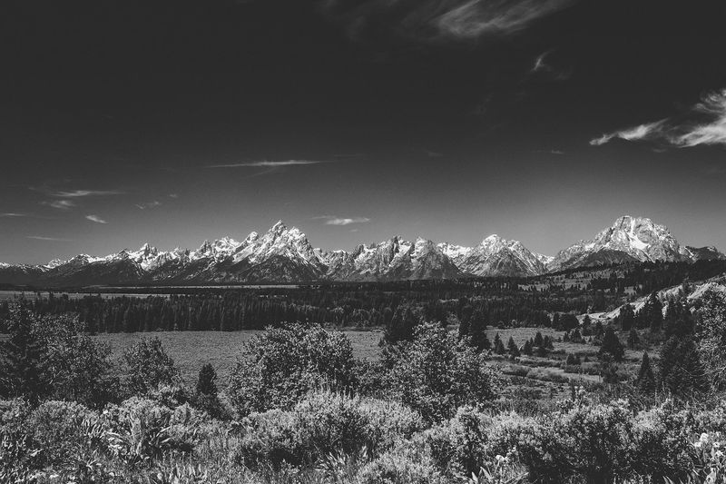 Grand Teton National Park — photo 6