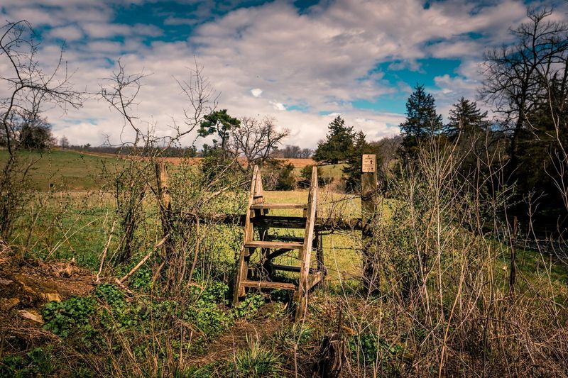 The Driftless Fly Fishing Company — photo 4